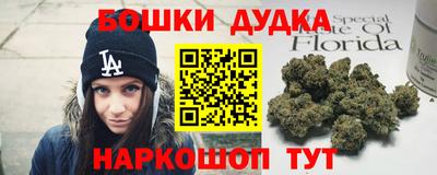 индика Лесосибирск