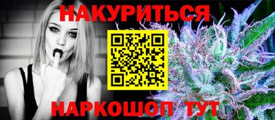 индика Лесосибирск