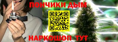 индика Лесосибирск