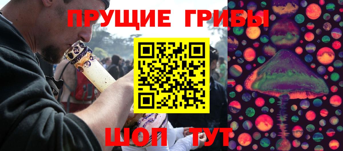 Псилоцибиновые грибы Psilocybine cubensis Железноводск